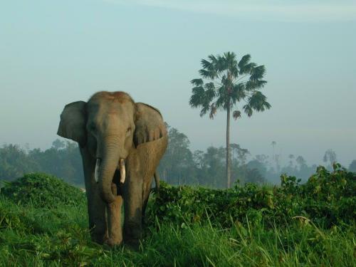best time to visit Indonesia, Sumatra