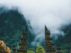A Trip To Bali: Discover This Island In Unique Way! Indonesia Travel guide