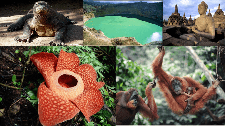 A Brief Overview of Indonesia’s Many Islands